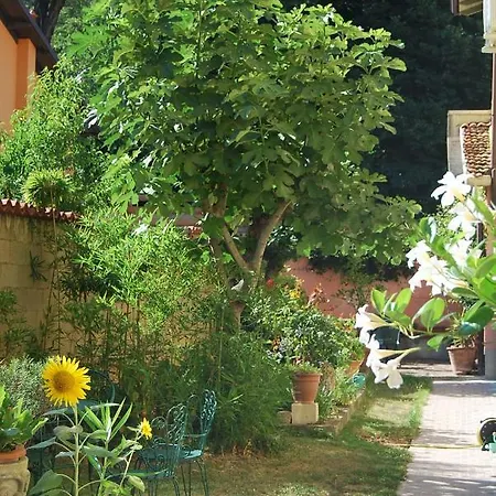 住宿加早餐酒店 Bassa 3*